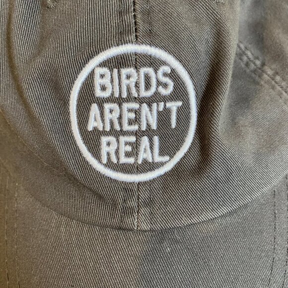 Birds' Aren't Real Unisex Adult Embroidered Adjustable Dad Hat Charcoal Adams - Picture 5 of 8
